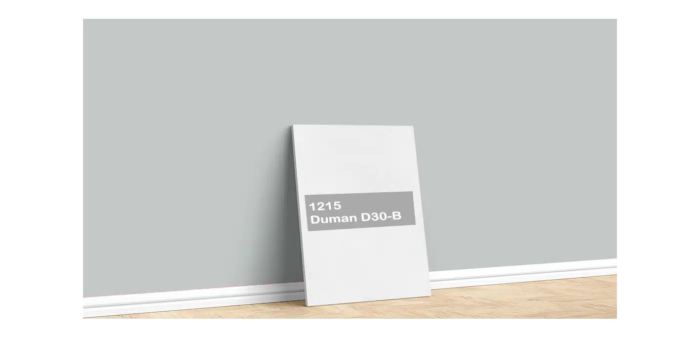 Permolit Permosil Silikonlu Dış Cephe Boyası 3,5kg