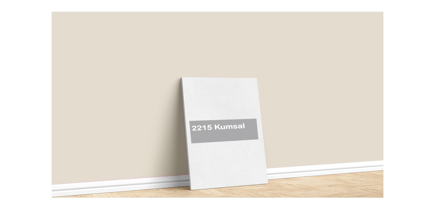 Permolit Permosil Silikonlu Dış Cephe Boyası 3,5kg