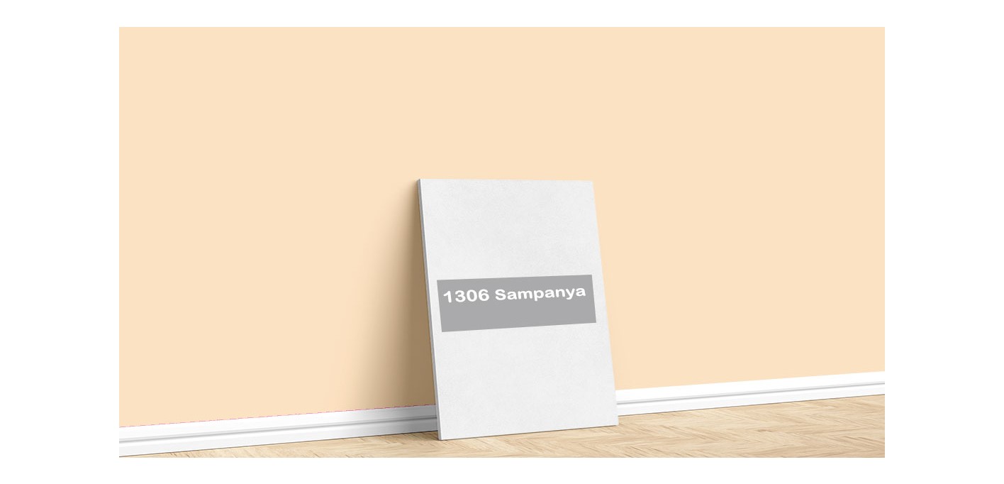 Permolit Pop And Rolls Su Bazlı Saf Akrilik Yenileme Boyası 