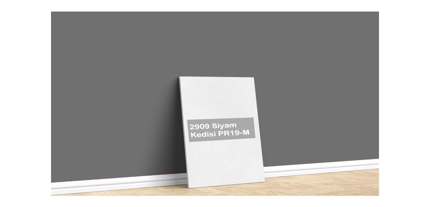 Permolit Permosil Silikonlu Dış Cephe Boyası 3,5kg